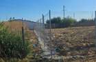 De Vanzare - Teren Intravilan/Extravilan 1388mp Cazasu, Str.Cimbrisorului - 1