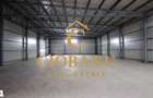 Hale industriale+Cladire de Birouri de inchiriat zona Aeroport - 14