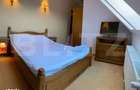 Cabana cu 5 dormitoare, 250 mpu, 700 teren la Ranca - 2
