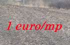 Teren 1 euro/mp pentru iarba verde - 2