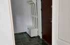 Inchiriez apartament cu 1 camera- Zona Petru Rares - 5