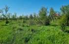 Vand loturi teren intravilan Bascov, Arges - 12