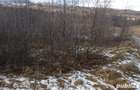 Vand teren Bran - Sohodol - 6
