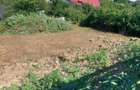 Vand teren intrvilant - 6