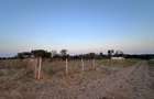 Teren intravilan 560mp , Ciocarlia de sus jud Constnata - utilitati