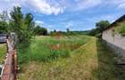 Teren intravilan in Brebu-- 3399mp--81.500e - 2