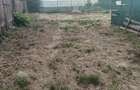 Teren de vanzare Calea Moldovei Nr 260 Lilieci - 3