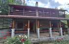 Vand casa de vacanta P+1 Valiug - Crivaia - 5