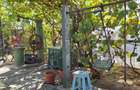 Casa Batraneasca | Teren 547 mp | Dragomiresti-Deal