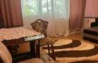 Apartament cu o camera Sagului - 2