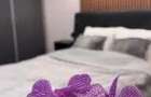 Apartament cu 2 camere decomandat în Calea Victoriei - 1