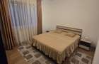 Apartament cu 2 camere semidecomandat, mobilat în Turnișor - 4