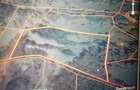 7454 m2 Teren cu drum de acces pietruit in padure - 1