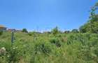 Teren intravilan de 8227 mp, în Băneasa - 6