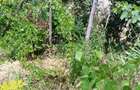 Casă cu 3 camere în Berca - 4
