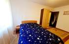 Apartament cu 3 camere semidecomandat în Centrul Civic - 12