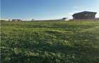 Teren Construcții intravilan de 2000 mp, în Cihei - 4