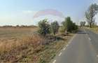 Teren industrial 7.9 ha, Afumati, deschidere 120m, Soseaua Stefanesti - 1
