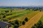 Teren intravilan de 483 mp, în Stupini - 17