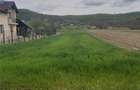 Teren de 2450 mp, în Băiculești - 8