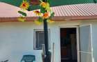 Casa de vanzare, 64.30 mp, Lacrita Mare - 18 km de Craiova - 12