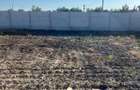 Teren de 900 mp, în Tămădău Mic - 5