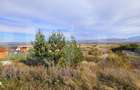 Casa de vanzare, sub padure, intr-un cadru natural deosebit Sancra - 5