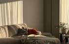 Apartament 2 camere modern 54mp | terasa | Intre Lacuri - 3