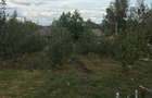 Casă în Șomcuta Mare - 1