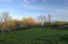 Vand teren intravilan - 3