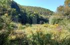 Teren intravilan de 9691 mp, în Mănăștur - 1