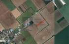 TEREN DE VANZARE | 15.000 mp | GANEASA, ILFOV - 1