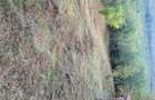 vind teren intravilan ,,URGENT'' - 4