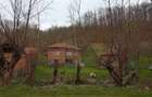 Casa + teren de vanzare, sat Poieni, comuna Densus, Hunedoara - 2