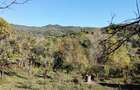 Teren intravilan de 2406 mp, în Central - 3