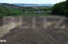 Teren 15.100 mp la baza padurii ideal parcelare | 14 loturi | priv - 5