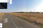 Teren Centura 10000 mp Concesiune Str Bujorului New 2026 - 1