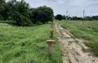 Teren agricol de 4900 mp, în Boldești - 5