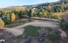 Teren de vanzare, 7300 mp, acces pavat - 1