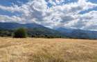 TEREN INTRAVILAN 17.781 MP SAMBATA DE SUS Vedere spre Muntii Fagaras - 1
