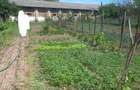 VAND teren intravilan comuna OLARI, PRAHOVA - 1