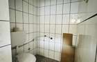 Casa 3 camere + apartament , la cheie - Zona Plopi Timisoara - 8
