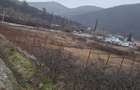 Vand teren intravilan - 2