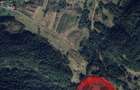 Teren 1.76 HA cu Sura/Constructie Lemn Risculita, HD - 3