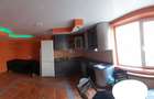 Casa Ultracentrala de inchiriat Armeneasca - 4