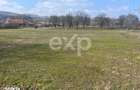 Teren intravilan de vanzare 3.392 mp Gorganu, Calinesti - 4