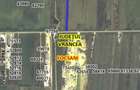 Focsani teren extravilan arabil 5000 mp. 6000 euro - 1