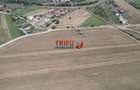 Teren Construcții intravilan de 2350 mp, în Ampoi 1 - 3