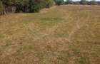 Teren Intravilan, situat in Sat Tismana (zona Gornovita) - 8