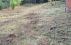 vind teren intravilan ,,URGENT'' - 1